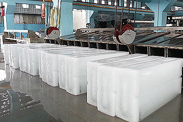 Block Ice Plant