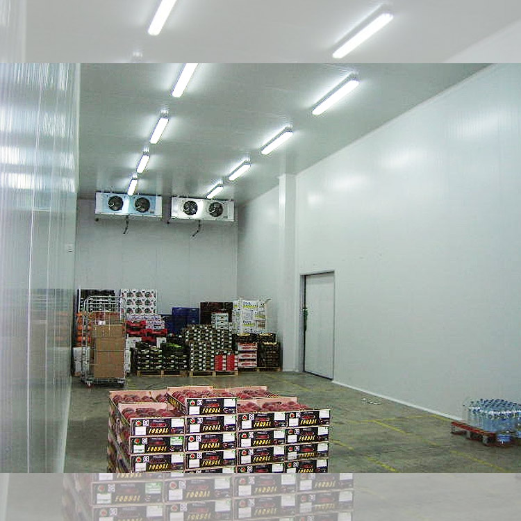 Nexgen CA / ULO Cold Storage