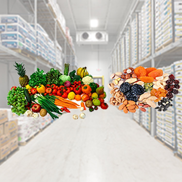 Nexgen Multi COmmodity Cold Storage