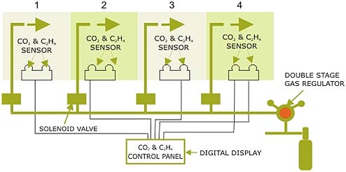 Ripening System Flow