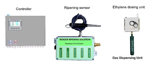 Ripening System Flow